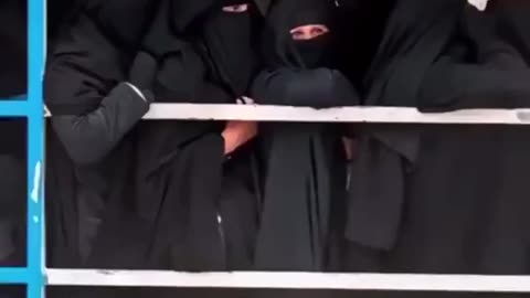 Not in MAGA America