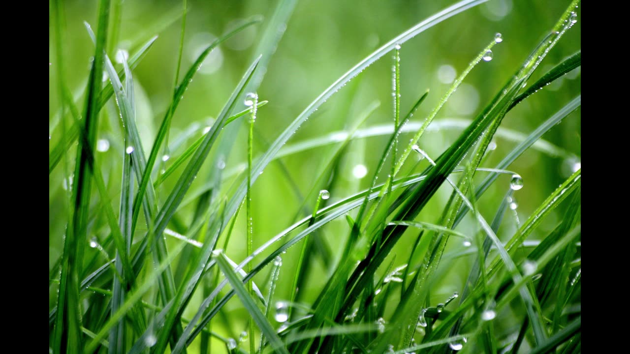 April Showers. Relaxing sounds. Drift into your own happiness.