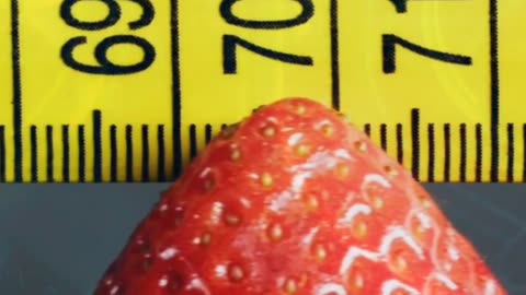 🌐 The Internet Weighs as Much as a STRAWBERRY! (Crazy Science)