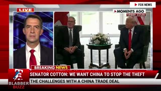 Senator Cotton: We Want China To Stop The Theft