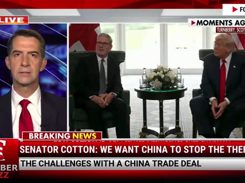 Senator Cotton: We Want China To Stop The Theft