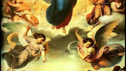 Fr Hewko, "What is My Purpose Here?" 7/17/25 (NH)