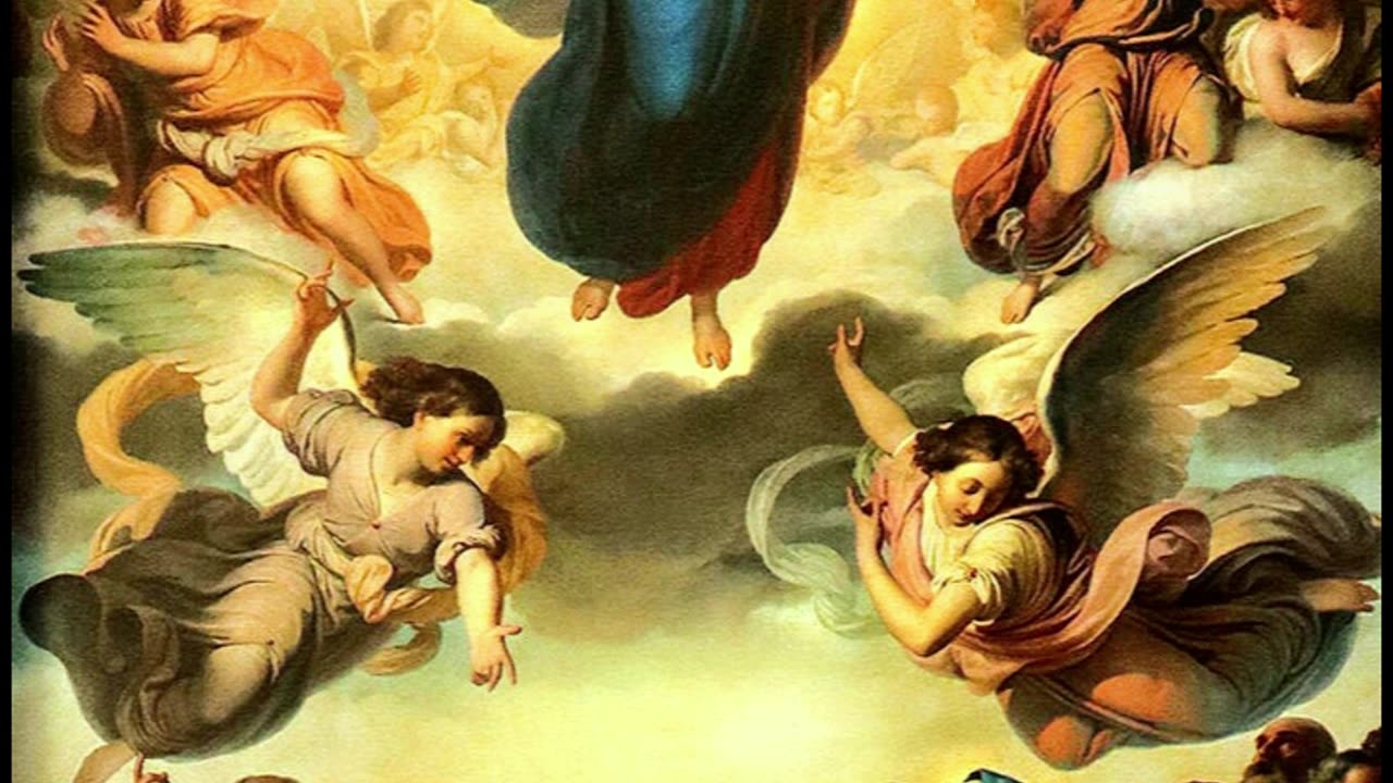 Fr Hewko, "What is My Purpose Here?" 7/17/25 (NH)