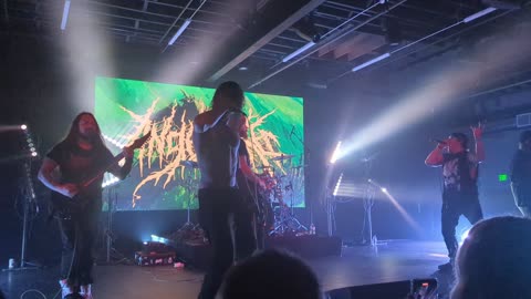 Angelmaker - Leech