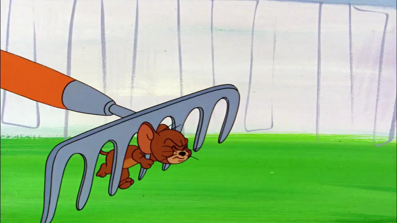 Tom & Jerry | Outdoor Fun! 🌿☀️