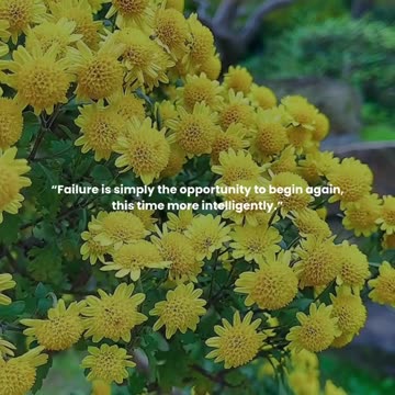 Failure is simply the opportunity to begin again, this time more intelligently.