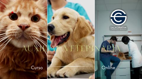 Curso auxiliar veterinaria