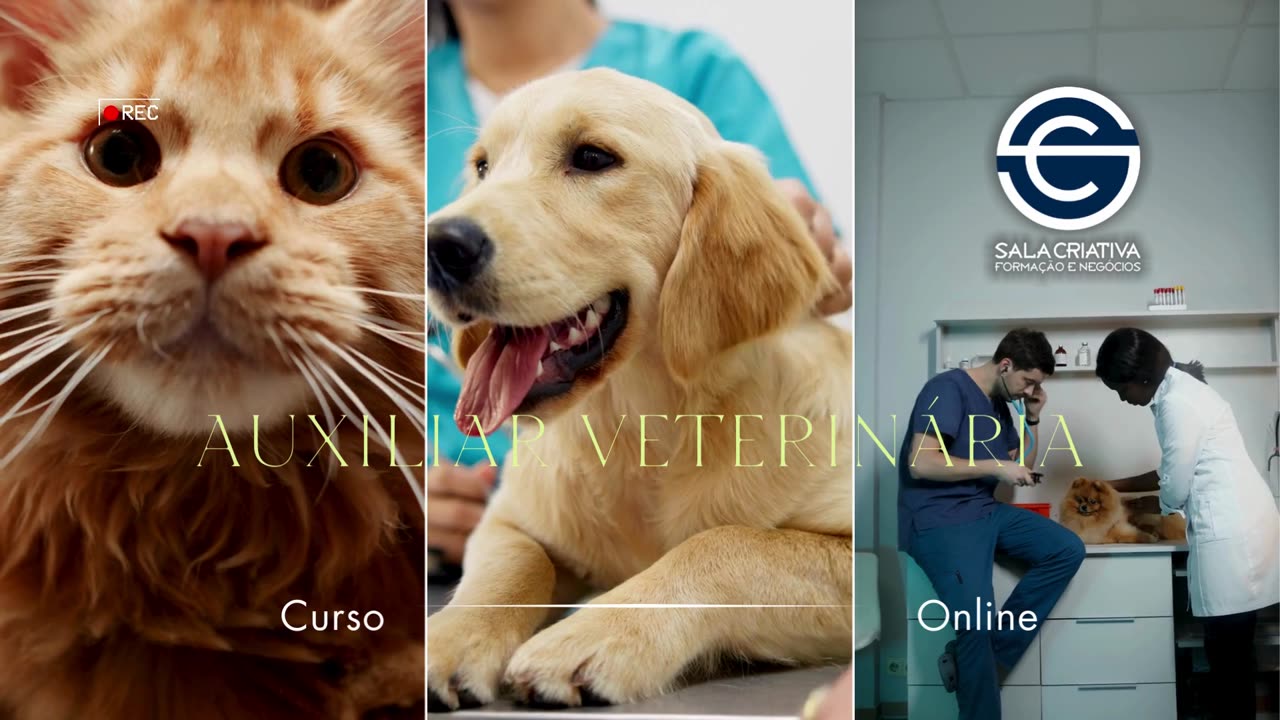 Curso auxiliar veterinaria