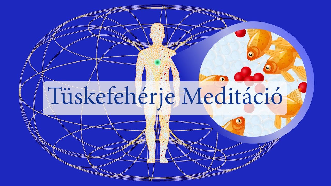 Tüskefehérje Meditáció