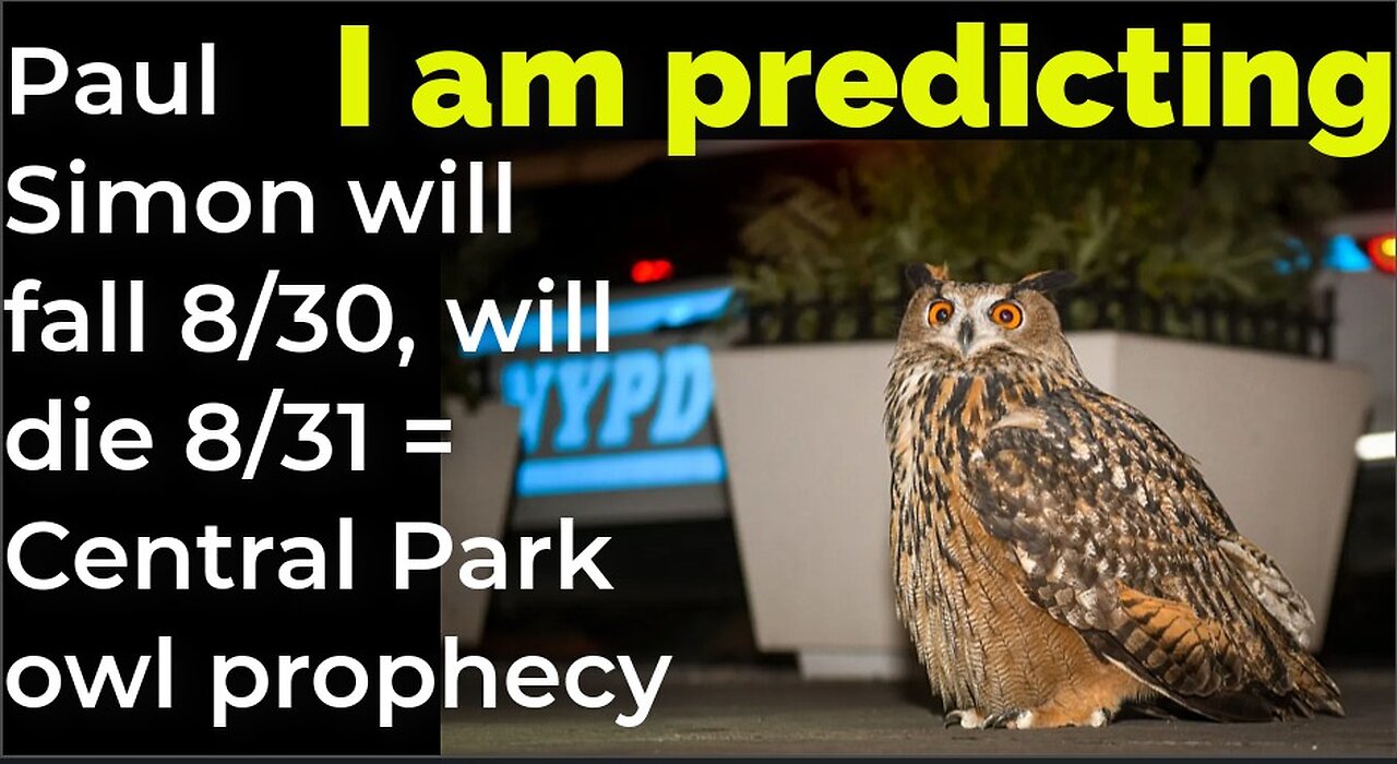 I am predicting: Paul Simon will fall 8/30, will die 8/31 = Central Park owl prophecy (pt 2)