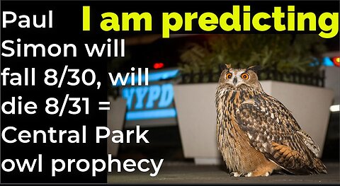 I am predicting: Paul Simon will fall 8/30, will die 8/31 = Central Park owl prophecy (pt 2)