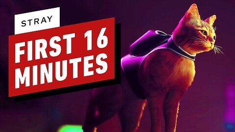 Stray - The First 16 Minutes of Gameplay on PS5 (4K)