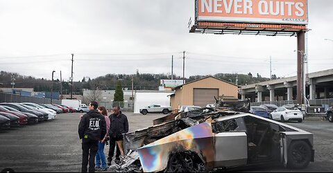 The Tolerant Left is at it AGAIN... Vandalizing Tesla Dealerships and Swatting MAGA