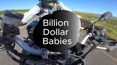 Billion Dollar Babies