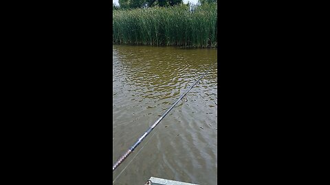Gump and I have to tag team a largemouth bass into the boat.