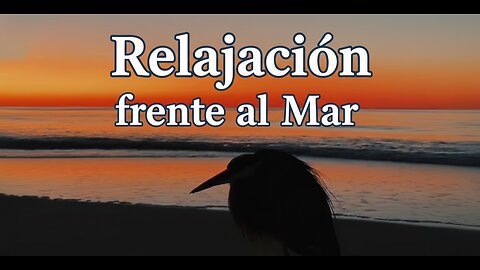 🌊 Relajación Profunda Frente al Mar | Sonido Natural de Olas para Dormir, Meditar y Liberar Estrés