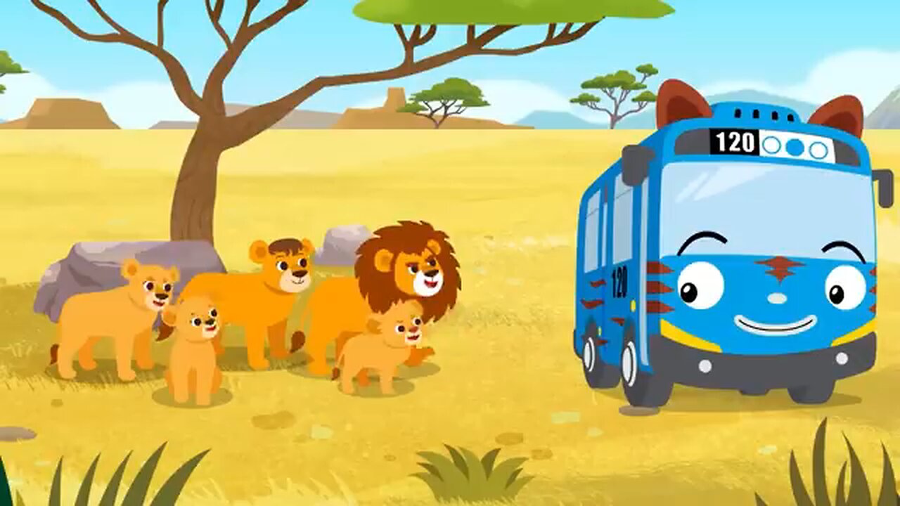 funny animals videos
