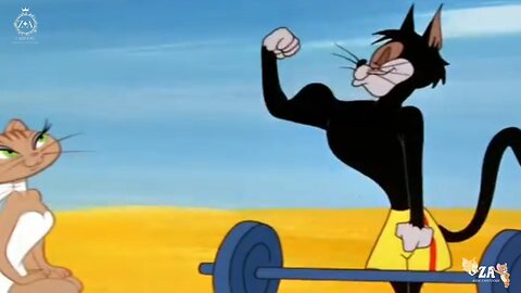 Tom and Jerry Cartoons