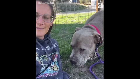 Dog paralyzed with fear learns what love is