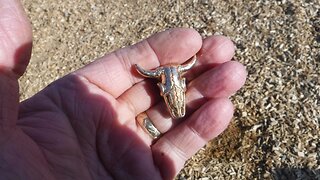 First hunt of 2025 Garrett Apex.
