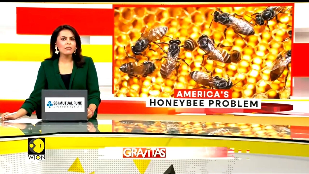 WHY BEES ARE DYING IN THE UNITED STATES BUT THRIVING IN CHINA 🐝