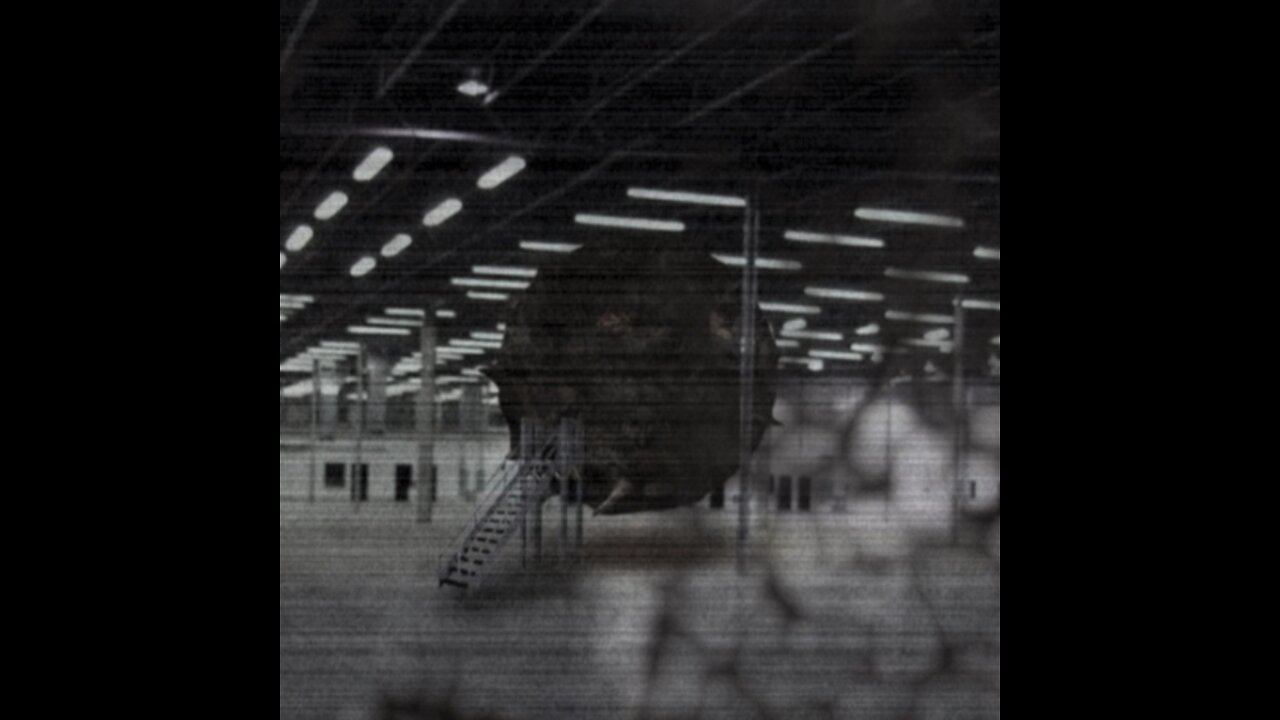 SCP Declassified: SCP-002 "The Living Room"