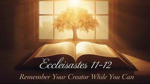 ✨ Life Has Meaning Only With Jehovah — Lessons from Ecclesiastes 11–12