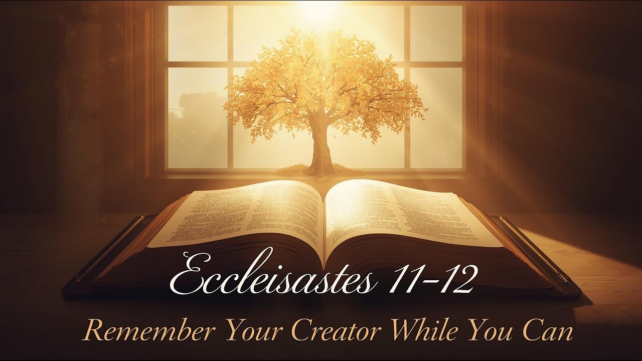 ✨ Life Has Meaning Only With Jehovah — Lessons from Ecclesiastes 11–12