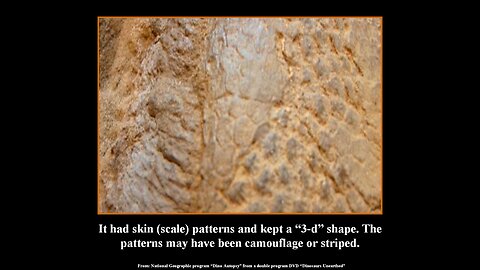 "Dinosaur Mummy"