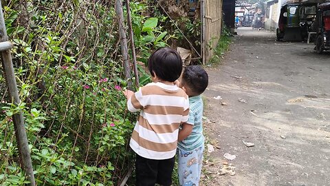 Nanguha'g Flowers Silang Grey & Isaiah