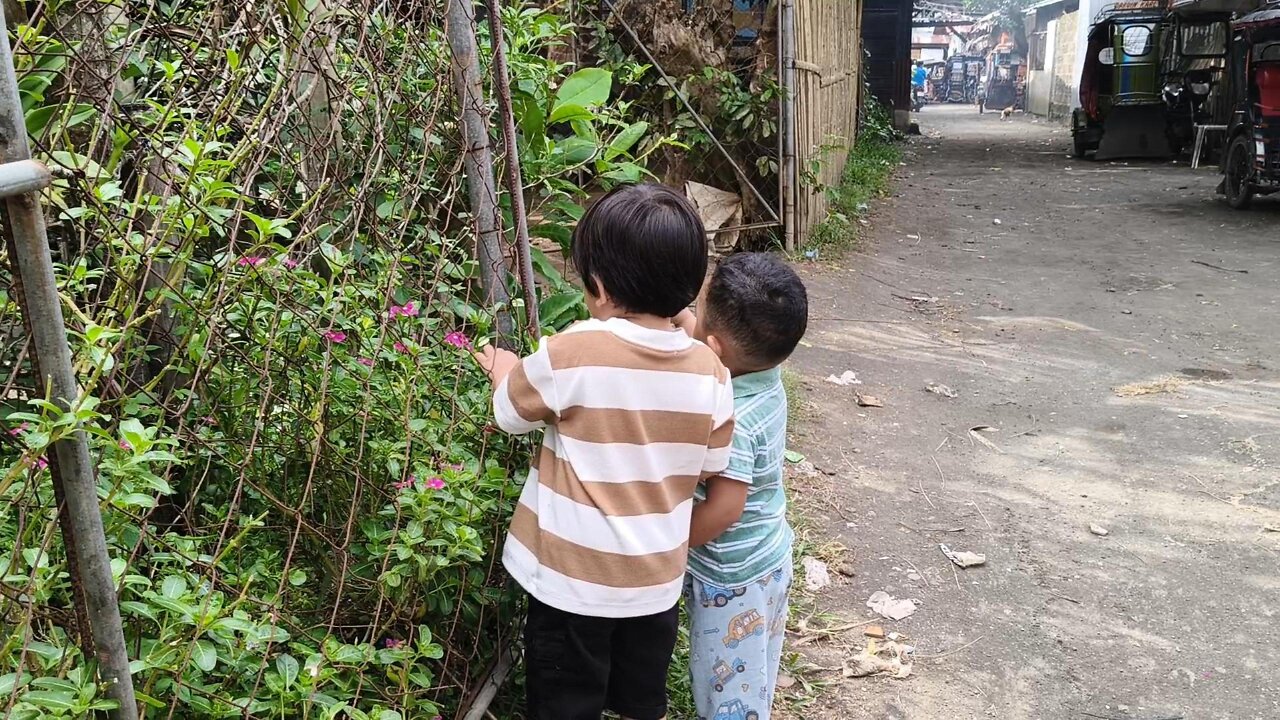 Nanguha'g Flowers Silang Grey & Isaiah