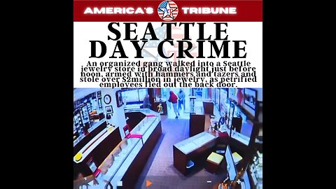 Seattle gang robs jewelry store in broad daylight as scared employees flee