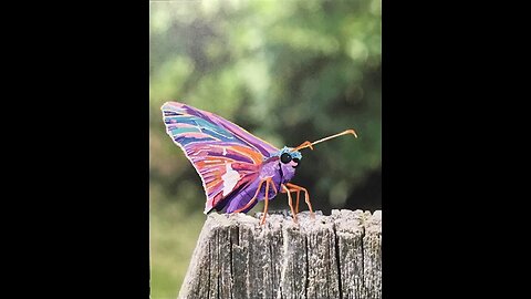 In the Studio: Spirit of a Moth