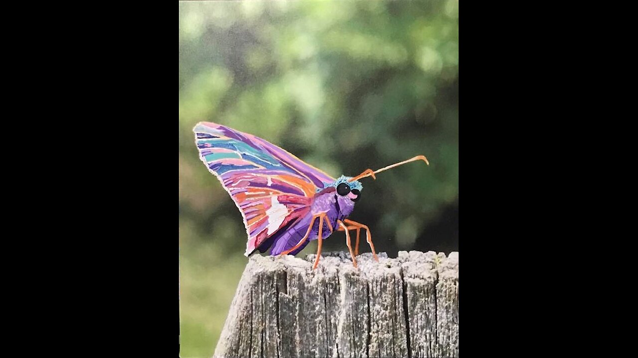 In the Studio: Spirit of a Moth