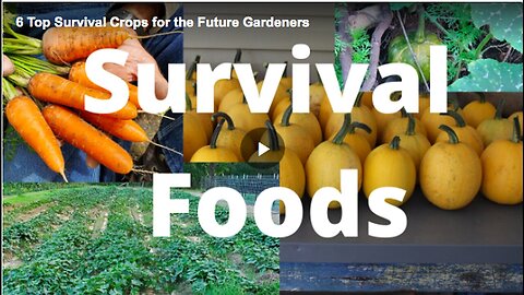 "Top Six Survival Crops for Your Home Garden: A Guide"