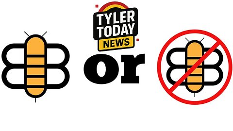 The bee or not the bee - Real or Real Fake news?