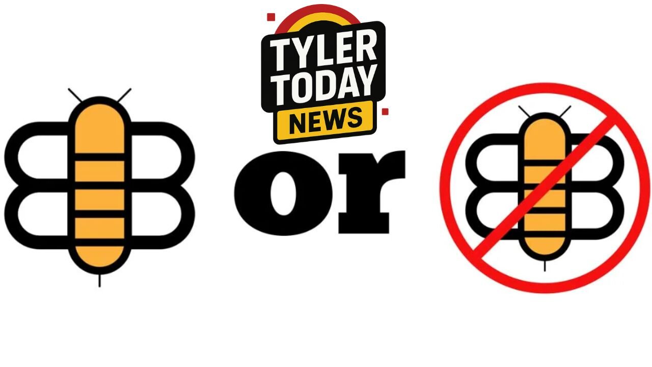 The bee or not the bee - Real or Real Fake news?