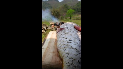 Delicious grilled fish in bamboo tube🐟😋🔥 #food #outdoorcooking #viralvideo #fishing #shorts