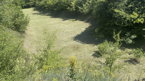 Mown field