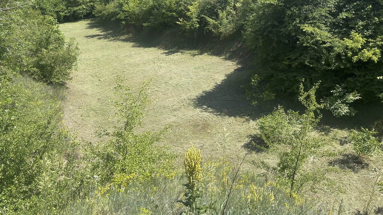 Mown field