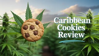 Caribbean Cookies from Dr Ganja