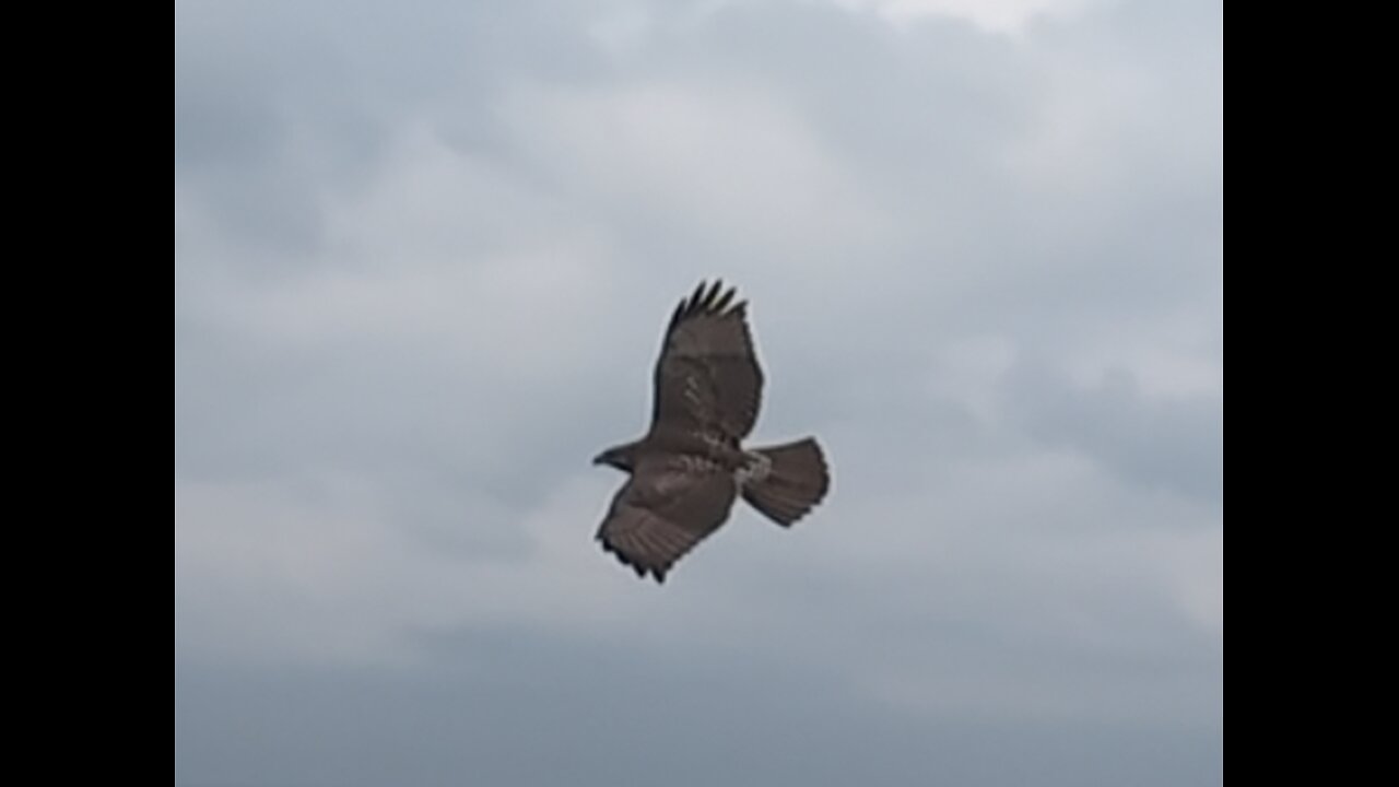 🦅 Get Off Of My Cloud - Rolling Stones 🦅