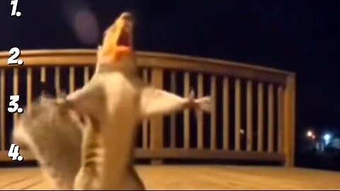 TOP 8 ANIMALS EATING BULDAK 😂