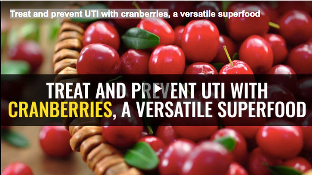 "Cranberries: A Natural Solution for UTI Treatment and Prevention"