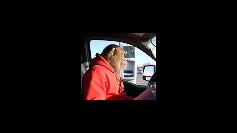 Lucky vs Drive thru - is he wrong