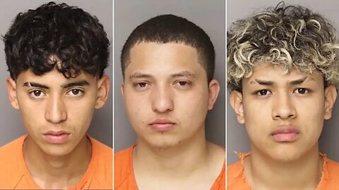 Americans at risk 'anywhere' after 6 illegal aliens are charged in mother's murder: congressman