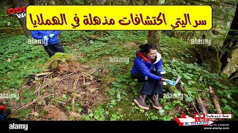 سرّ اليتي: اكتشافات مذهلة في الهملايا! #الييتي #الهملايا #أساطير