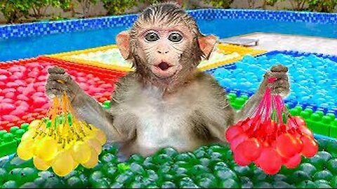 KiKi Monkey swimming and try Four Colors Water Balloons Challenge with ducklings