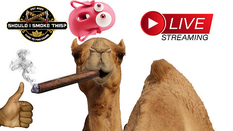 LIVE: ASK QUESTIONS! Cigars with the Industry Killers