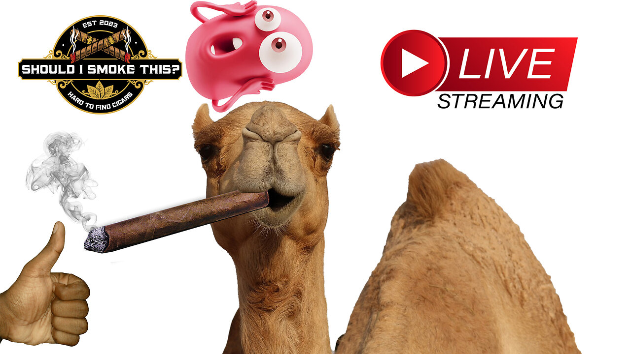 LIVE: ASK QUESTIONS! Cigars with the Industry Killers